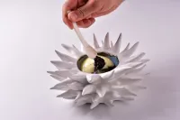 Beluga kaviár, textury brambor & cibule, jogurt