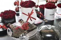 Prezentace nové kolekce Intimissimi, Calzedonia, Tezenis