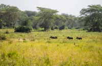 Credit: Jamie Lucas – Zuka